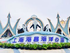 -上海海昌海洋公园