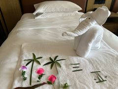 -三亚亚龙湾万豪度假酒店