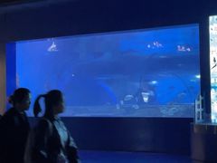 -重庆欢乐海底世界