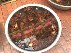 -阿财老铺·老蚌埠龙虾城(华夏总店)