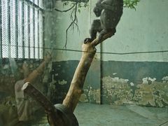 -无锡动物园·太湖欢乐园