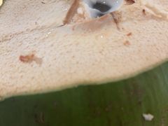 -椰夫人·养生椰子鸡(黄埔时代城店)