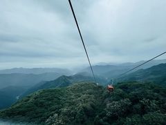 -牛背梁国家森林公园