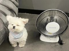 -GODIVA(万象城店)