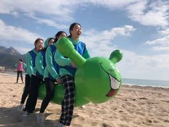 -山海一众流清河沙滩露营地·团建拓展·沙滩烧烤