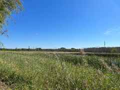 -野鸭湖国家湿地公园