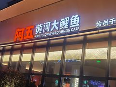 -阿五黄河大鲤鱼(建业路店)