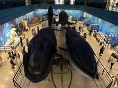 -大连自然博物馆·地球展厅
