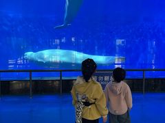 -泉城欧乐堡海洋极地世界