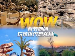 -世界恐龙谷景区