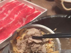 -蘑界·野生菌火锅(深业上城店)