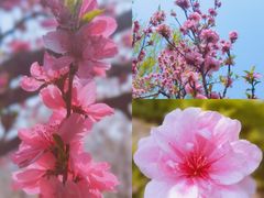 -海棠花溪(元大都城垣遗址公园)