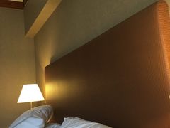 -新加坡瑞士史丹福酒店