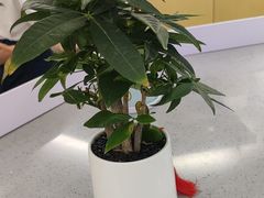 -海底捞火锅(旭辉MALL店)