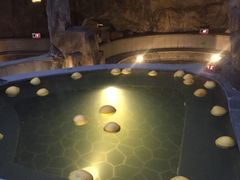 -裕龙汤泉