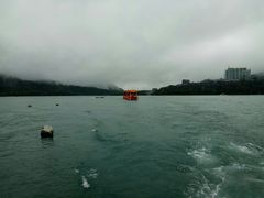 -金盆阿嬷香菇茶叶蛋(玄光店)