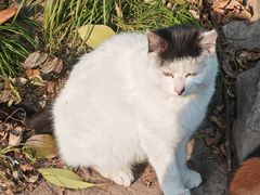 -扬州大运河文化旅游度假区·盆景园