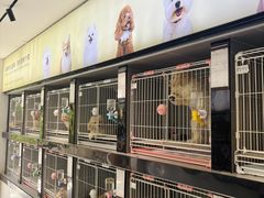 -翊宠yipet猫狗购宠庄园犬舍•猫舍