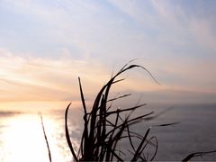 -枸杞岛