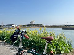 -DAHON大行折叠自行车(松江旗舰店)