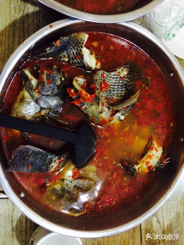 风鑫铃罗非鱼图片 - 第642张