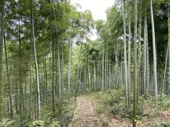 -天下银坑
