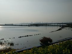 -合肥滨湖国家森林公园