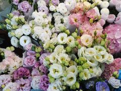 -双季花艺园艺市场(浦东店)