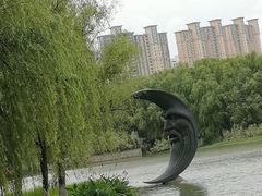 -昆山城市生态森林公园