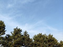 -汉长安城未央宫国家考古遗址公园