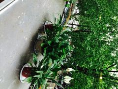 雕刻时光咖啡馆(交大店)-雕刻时光咖啡馆(交大店)