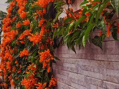 -南宁市衡阳西路第一幼儿园