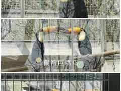 -天津市动物园