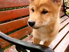 -小陆莲花蟹园农家乐(莲花岛店)