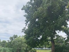 -幕燕滨江·长江观音景区