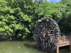 -石老人观光园