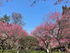 -杭州植物园