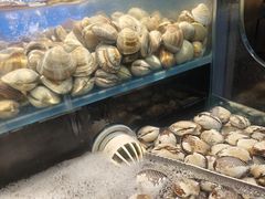 -苏格里岛·自助烤肉·火锅海鲜(金鼎广场店)