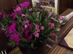 iphone_upload_pic-榖屋house of flour(张江首店)