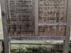 -前小桔亲子创意农场·草莓采摘·露营烧烤