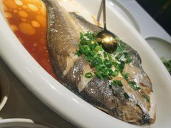 -彩虹之约•淮扬家宴(亚运村店)