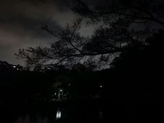 -四海公园(南山区)