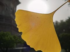 -玲珑塔公园