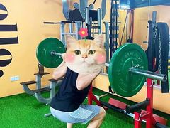 -GYMPLUS智能健身(中山北路店)