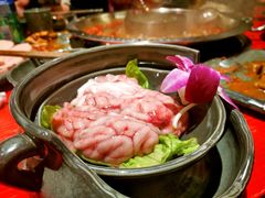 -谭鸭血老火锅(漳州路店)