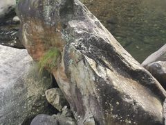 -浙西大龙湾