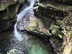 -江西阳明山国家森林公园