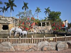 -美的鹭湖探索王国