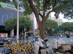 -上海松江假日酒店