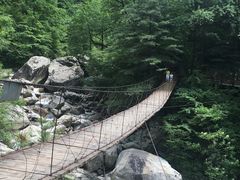 -青峰峡国家森林公园